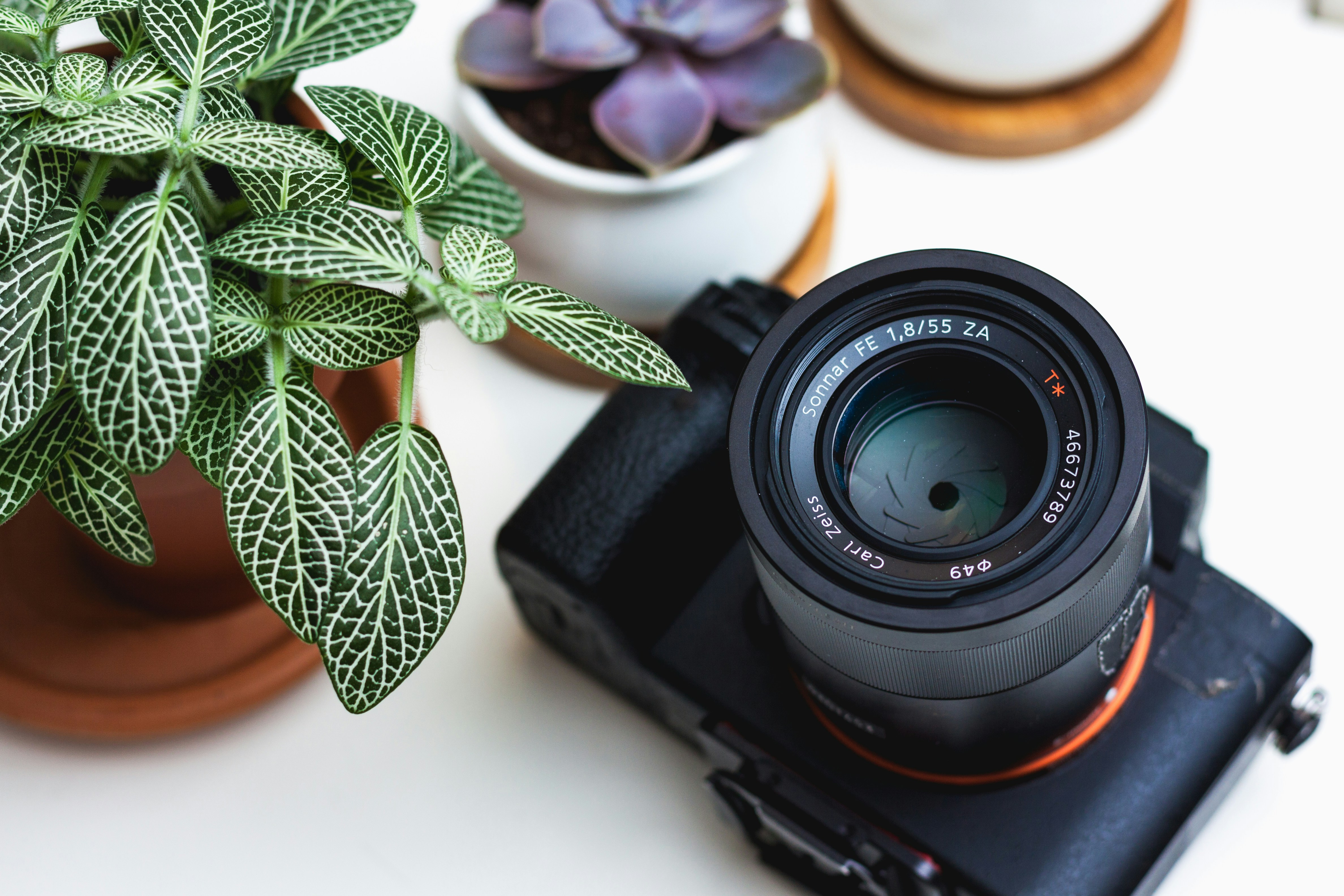 dan-gold-Itjeqpuzh94-unsplash dan-gold-Itjeqpuzh94-unsplash